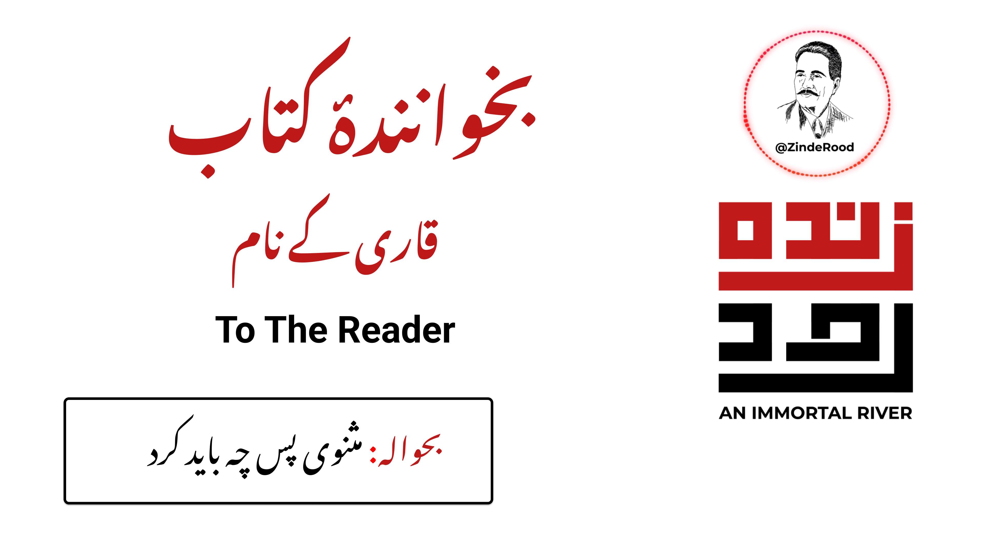 قاری کے نام