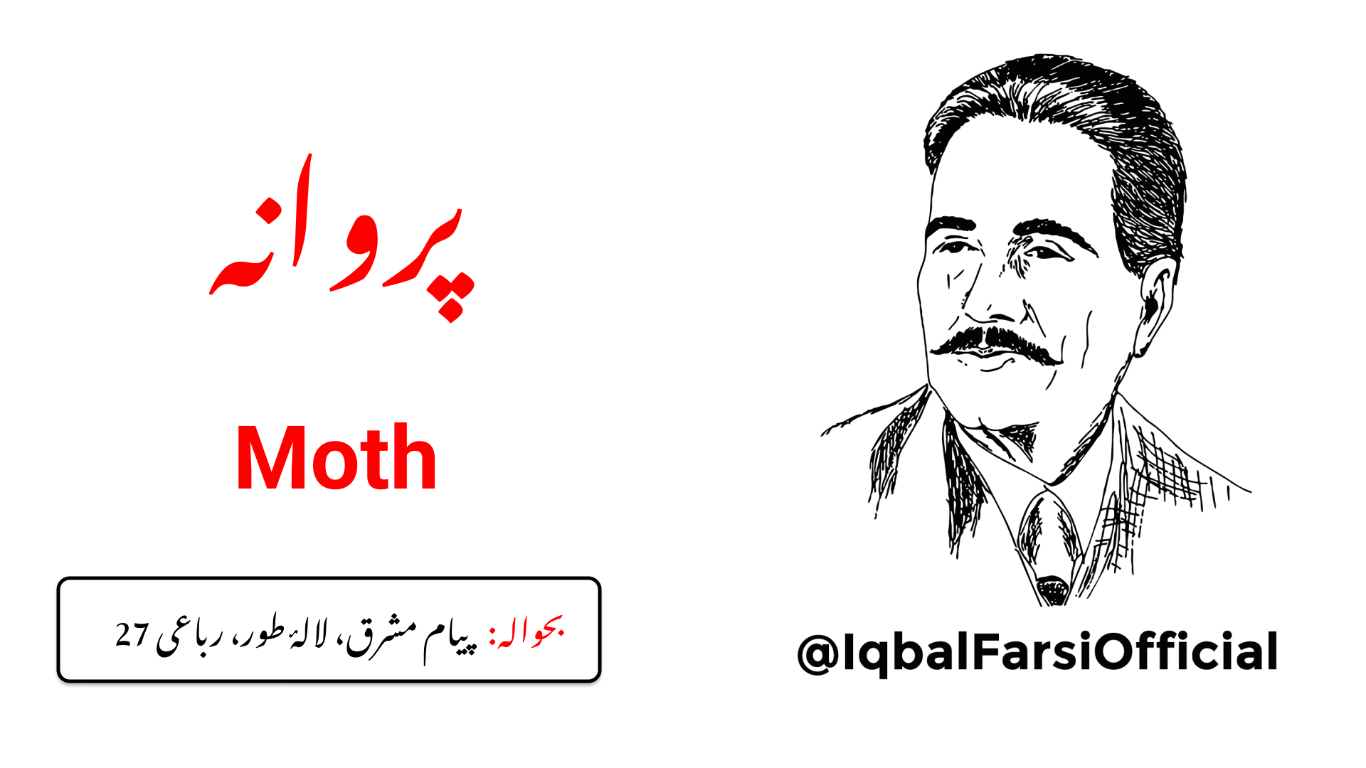 چراغ کے نیچے گرے پڑے پروانے کی کہانی چھوڑ