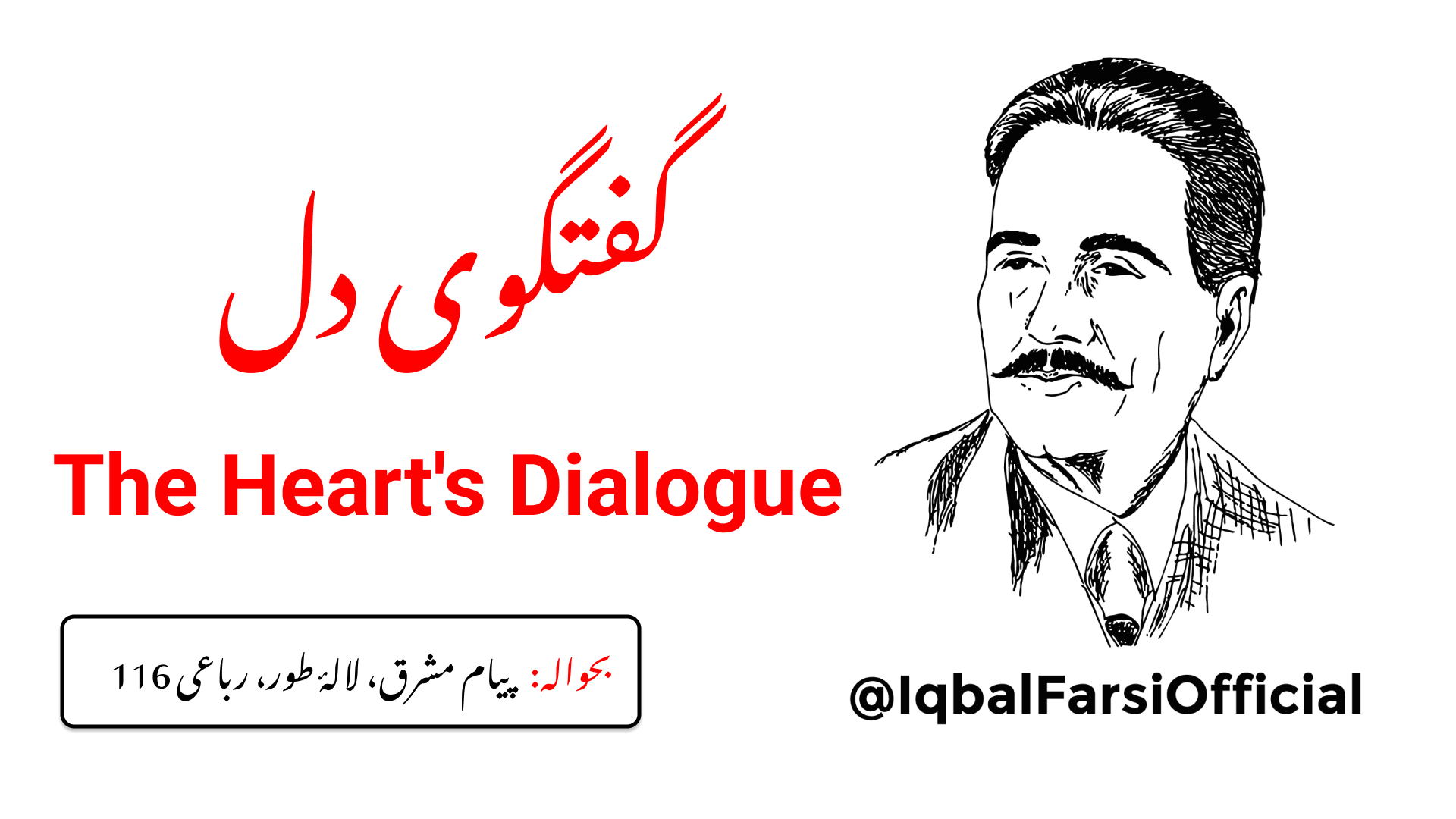 میرا دل آرزو سے بے قرار ہے