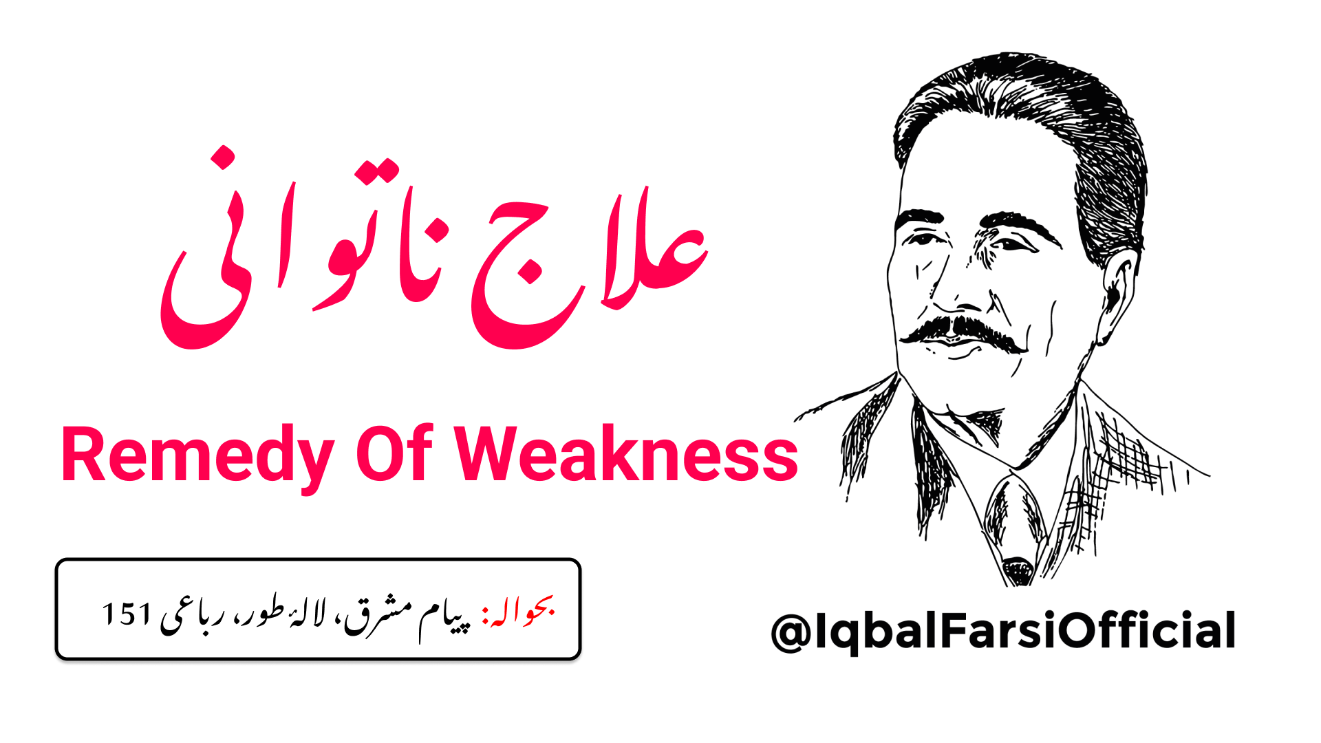پھولوں کے درمیان اپنا آشیانہ بنا