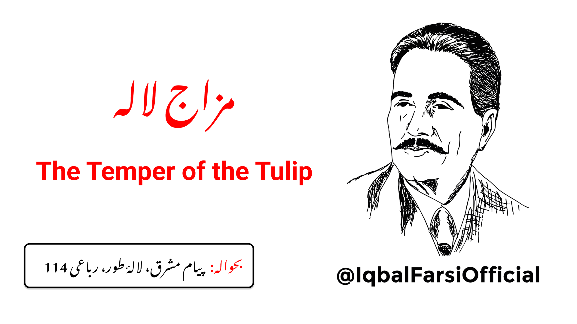 میں لالہ ء خودرو کا مزاج پہچانتا ہوں